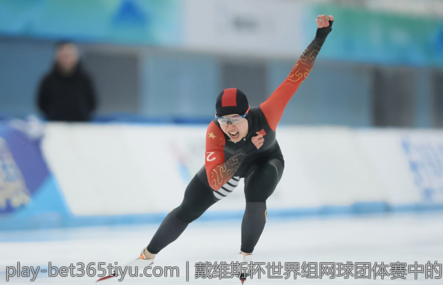 戴维斯杯世界组网球团体赛中的明星球员与精彩表现