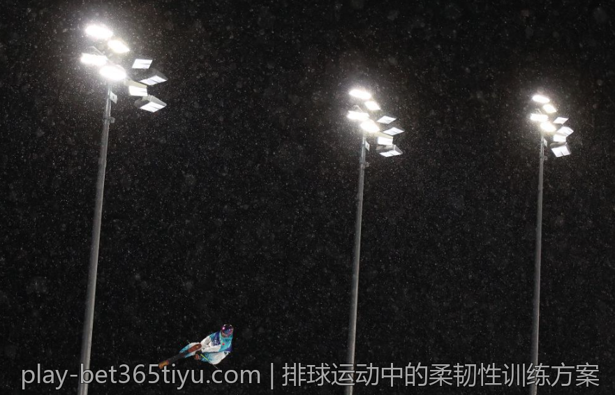 排球运动中的柔韧性训练方案