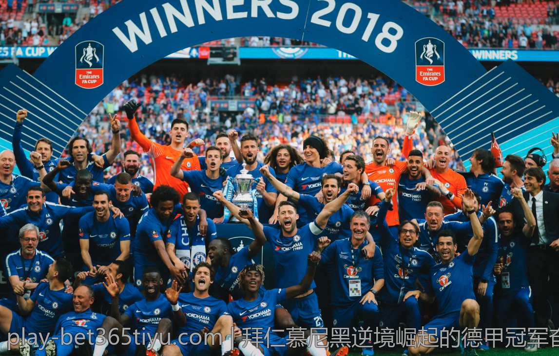 如何高效使用bet365体育app下载